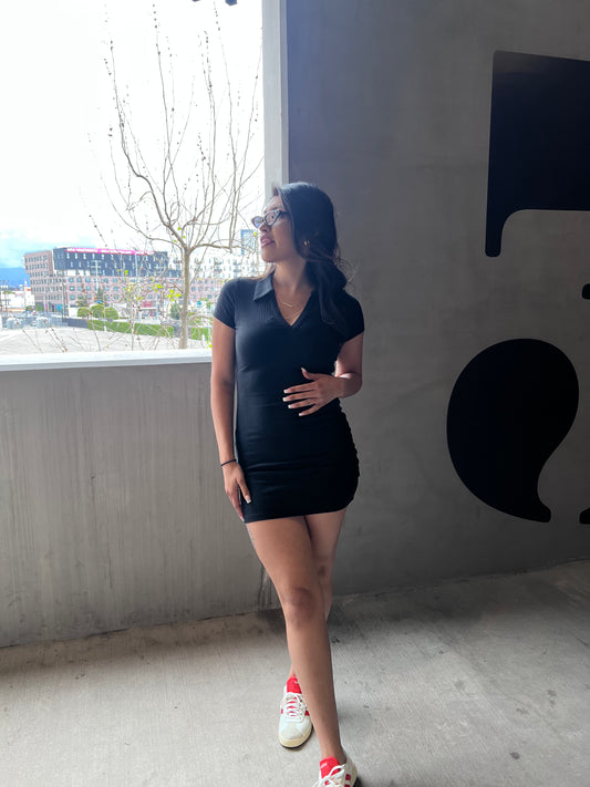 Polo Dress
